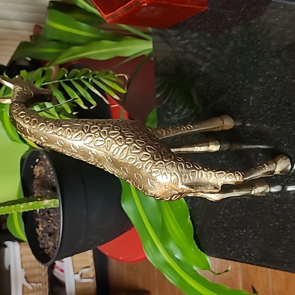 Metal Giraffe - Picture 5 of 13